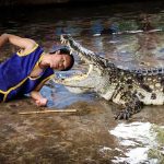profissões perigosas – lutador de crocodilo