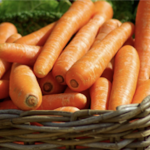 cenoura – alimentos que te deixam mais bonita