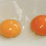 ovos – alimentos que embelezam