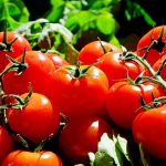tomate – 5 alimentos que evitam o envelhecimento da pele